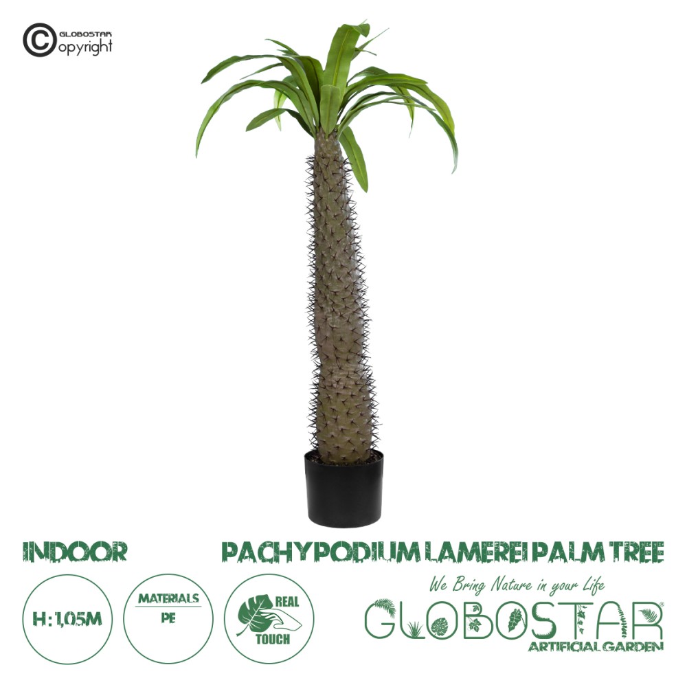 GloboStar® Artificial Garden PACHYPODIUM LAMEREI PALM TREE 20129 Τεχνητό Διακοσμητικό Φυτό Φοίνικας της Μαγαδασκάρης Υ105cm