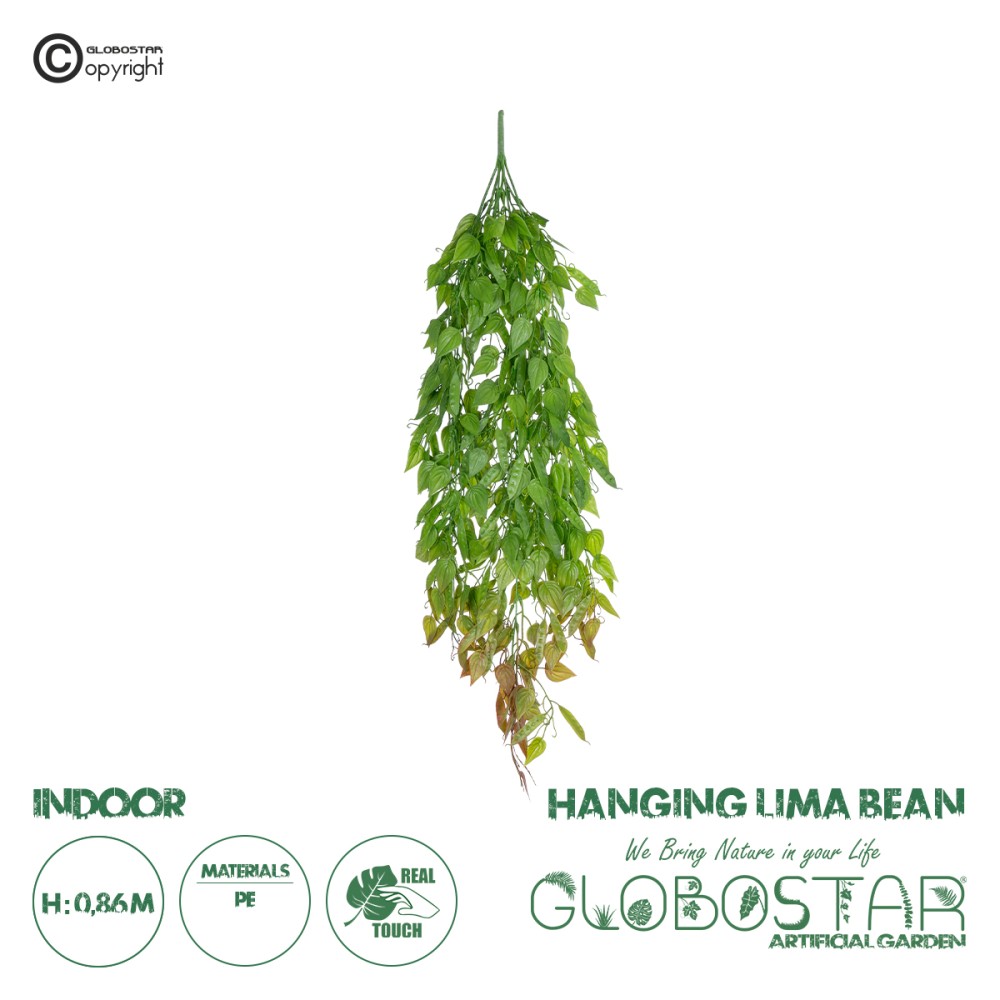 GloboStar® Artificial Garden HANGING LIMA BEAN 20846 Τεχνητό Διακοσμητικό Κρεμαστό Φυτό Φασόλι Λίμα Μ29 x Π10 x Υ86cm