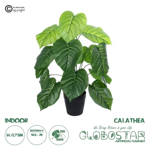 GloboStar® Artificial Garden CALATHEA PLANT 20910 Διακοσμητικό Φυτό Καλαθέα Φ70 x Υ75cm