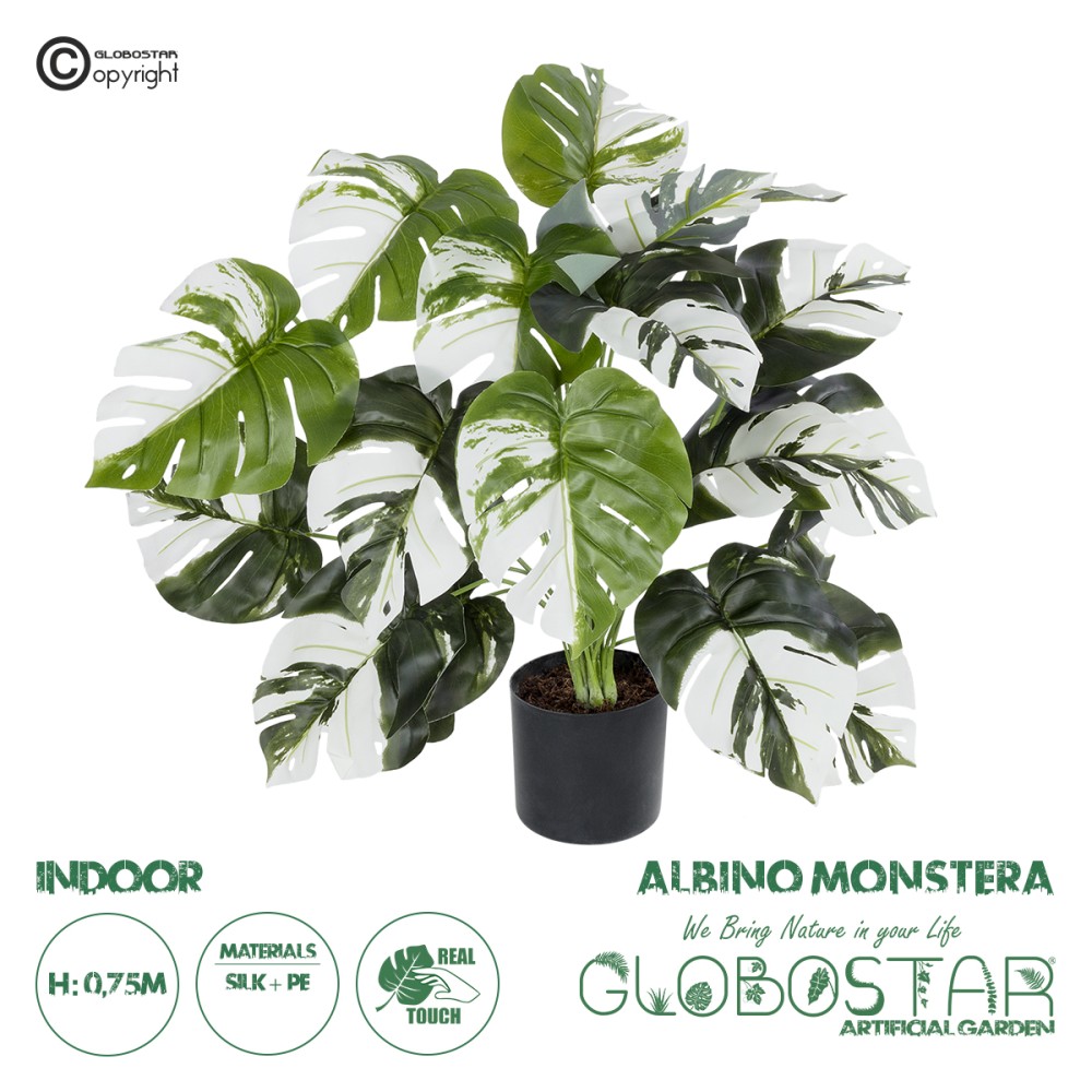 GloboStar® Artificial Garden ALBINO MONSTERA PLANT 20925 - Διακοσμητικό Φυτό Λευκή Μονστέρα Φ70 x Υ75cm