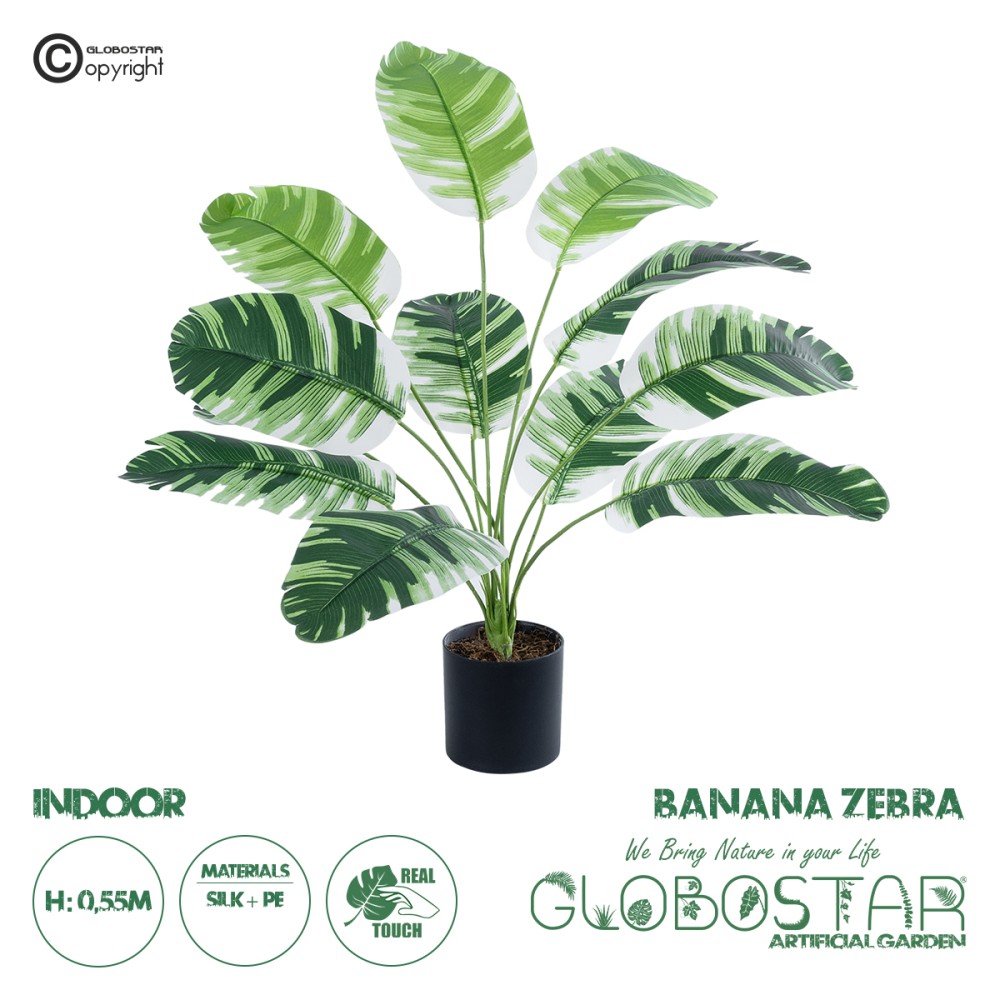 GloboStar® Artificial Garden BANANA PLANT ZEBRA 20929 - Διακοσμητικό Φυτό Μπανανιά Ζέβρα Φ70 x Υ55cm