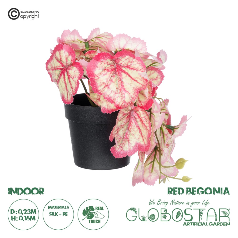 GloboStar® Artificial Garden RED BEGONIA PLANT 20948 Διακοσμητικό Φυτό Κόκκινη Βιγόνια Φ23 x Υ16cm