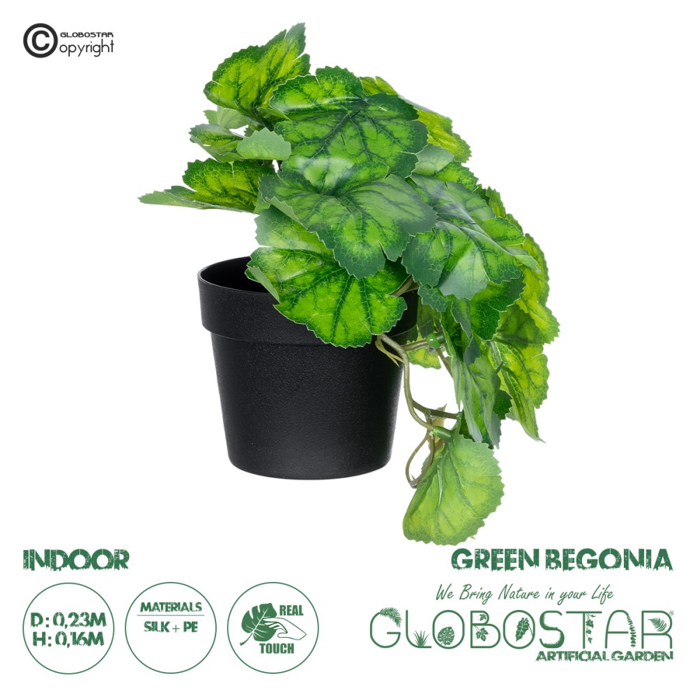 GloboStar® Artificial Garden GREEN BEGONIA PLANT 20949 Διακοσμητικό Φυτό Πράσινη Βιγόνια Φ23 x Υ16cm