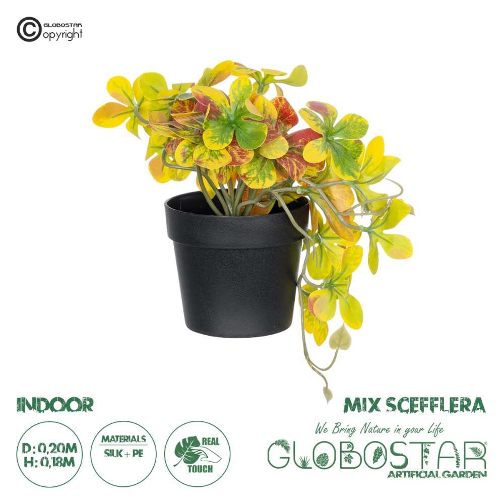 GloboStar® Artificial Garden SCHEFFLERA MIX PLANT 20956 Διακοσμητικό Φυτό Σεφλέρα Φ20 x Υ18cm