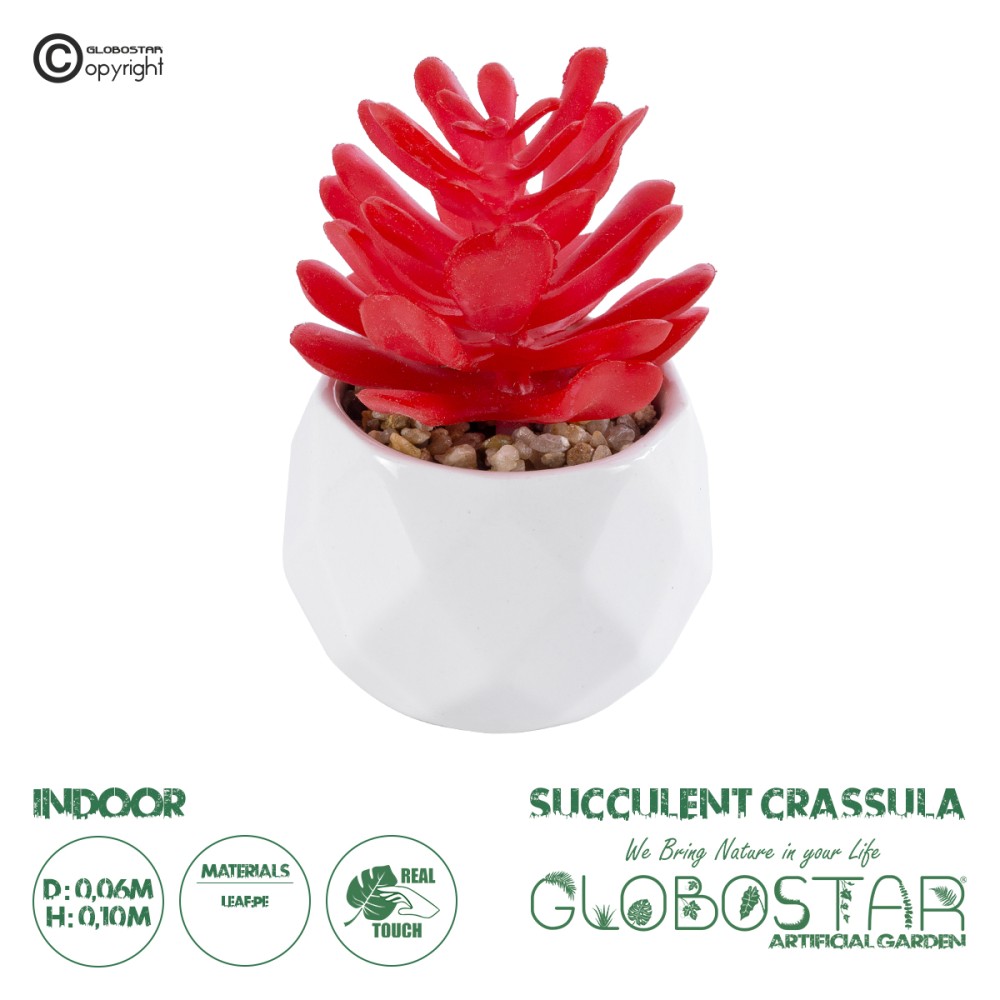 GloboStar® Artificial Garden SUCCULENT CRASSULA 20985 Διακοσμητικό Φυτό Παχύφυτο Κράσουλα Υ10cm