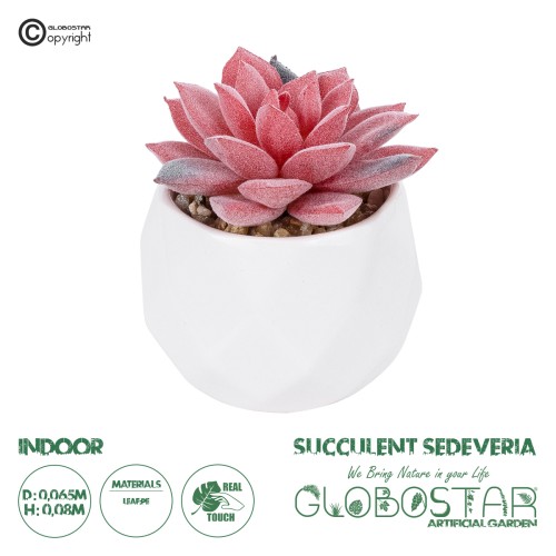 GloboStar® Artificial Garden SUCCULENT SEDEVERIA POTTED PLANT 20989 Διακοσμητικό Φυτό Σεδεβέρια Φ6,5 x Υ8cm