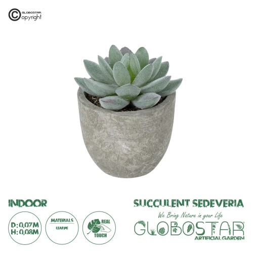 GloboStar® Artificial Garden SUCCULENT SEDEVERIA POTTED PLANT 21016 Διακοσμητικό Φυτό Σεδεβέρια  Φ7 x Υ8cm