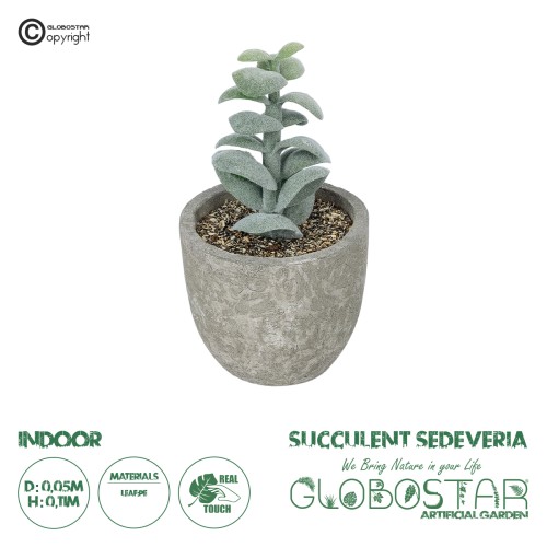 GloboStar® Artificial Garden SUCCULENT SEDEVERIA POTTED PLANT 21027 Διακοσμητικό Φυτό Σεδεβέρια  Φ5 x Υ11cm