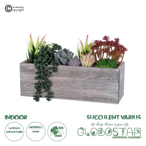 GloboStar® Artificial Garden SUCCULENT VARIUS PLANT POTTED 21033 Διακοσμητικό Φυτό Μίξ Μ29 x Π10 x Υ18cm