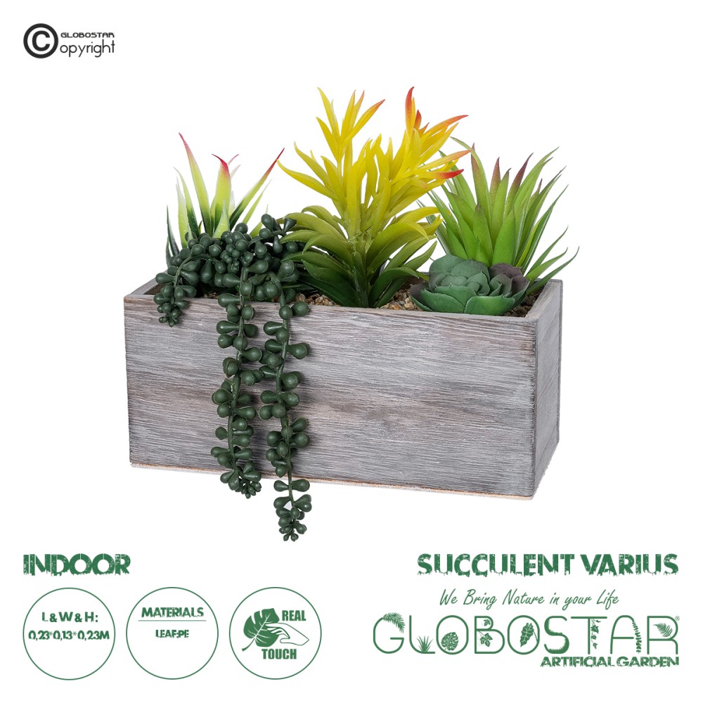 GloboStar® Artificial Garden SUCCULENT VARIUS PLANT POTTED 21034 Διακοσμητικό Φυτό Μίξ Μ23 x Π13 x Υ23cm