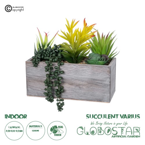 GloboStar® Artificial Garden SUCCULENT VARIUS PLANT POTTED 21034 Διακοσμητικό Φυτό Μίξ Μ23 x Π13 x Υ23cm