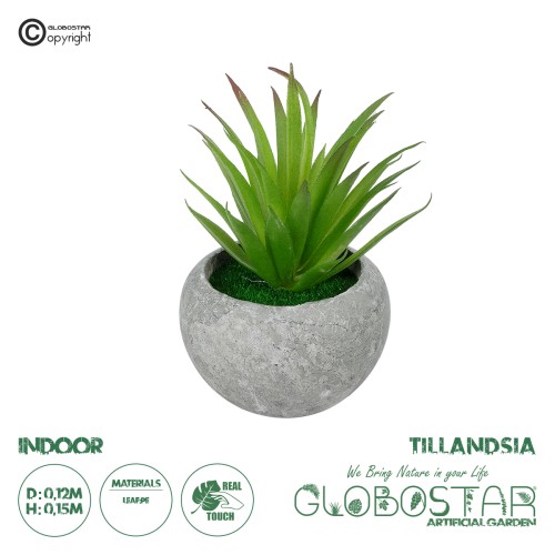 GloboStar® Artificial Garden AIR PLANT TILLANDSIA POTTED PLANT 21036 Διακοσμητικό Φυτό Τιλάντσια Φ12 x Υ15cm