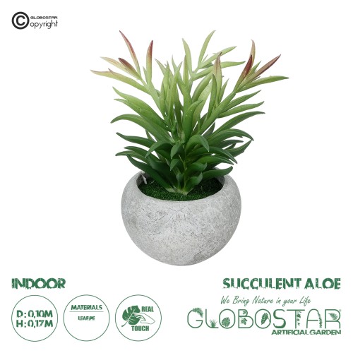 GloboStar® Artificial Garden SUCCULENT CRASSULA POTTED PLANT 21038 Διακοσμητικό Φυτό Κρασούλα  Φ10 x Υ17cm
