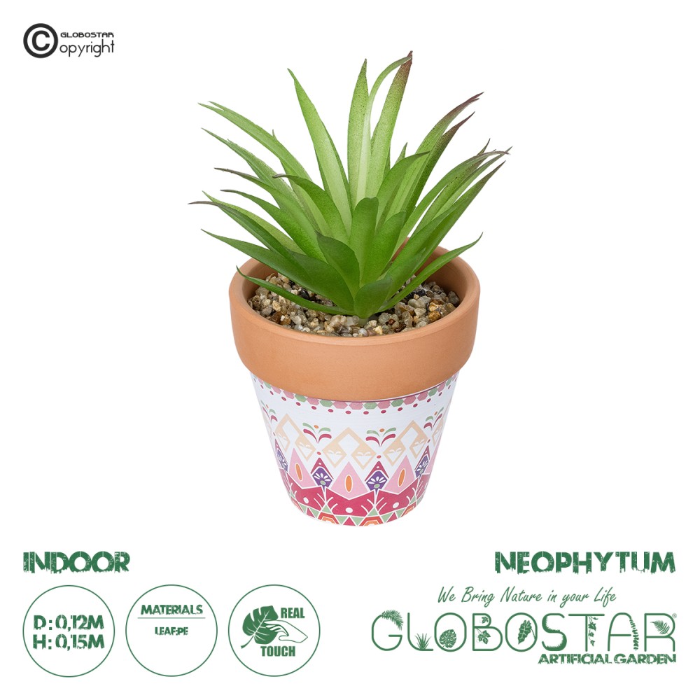 GloboStar® Artificial Garden AIR PLANT NEOPHYTUM POTTED PLANT 21043 Διακοσμητικό Φυτό Νεόφυτο Φ12 x Υ15cm