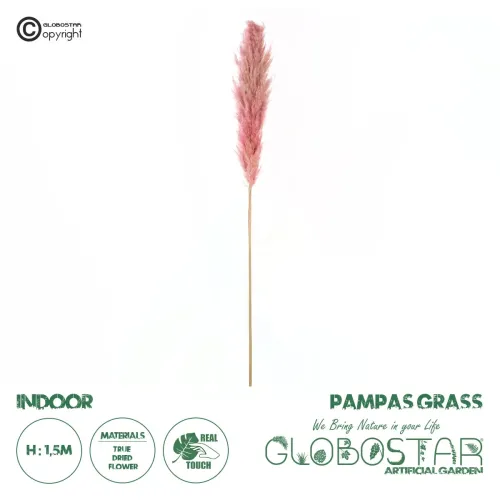 GloboStar® Artificial Garden PAMPAS GRASS 21218 Αποξηραμένο Διακοσμητικό Γρασίδι Πάμπας Μ10 x Π10 x Υ150cm