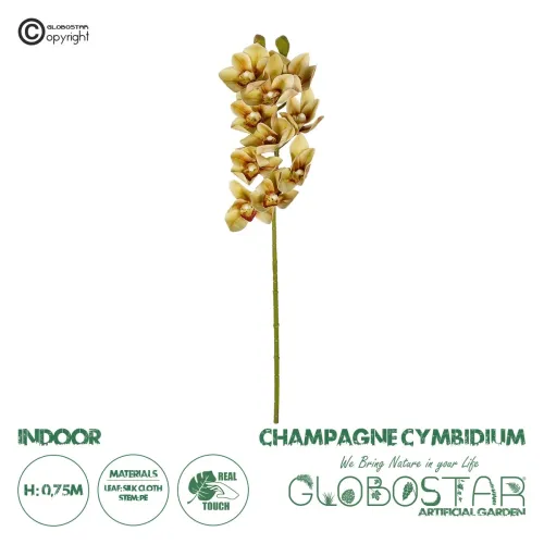 GloboStar® Artificial Garden CHAMPAGNE CYMBIDIUM BRANCH 21408 Τεχνητό Διακοσμητικό Κλαδί Σαμπανί Κυμβίδιο  Y75cm