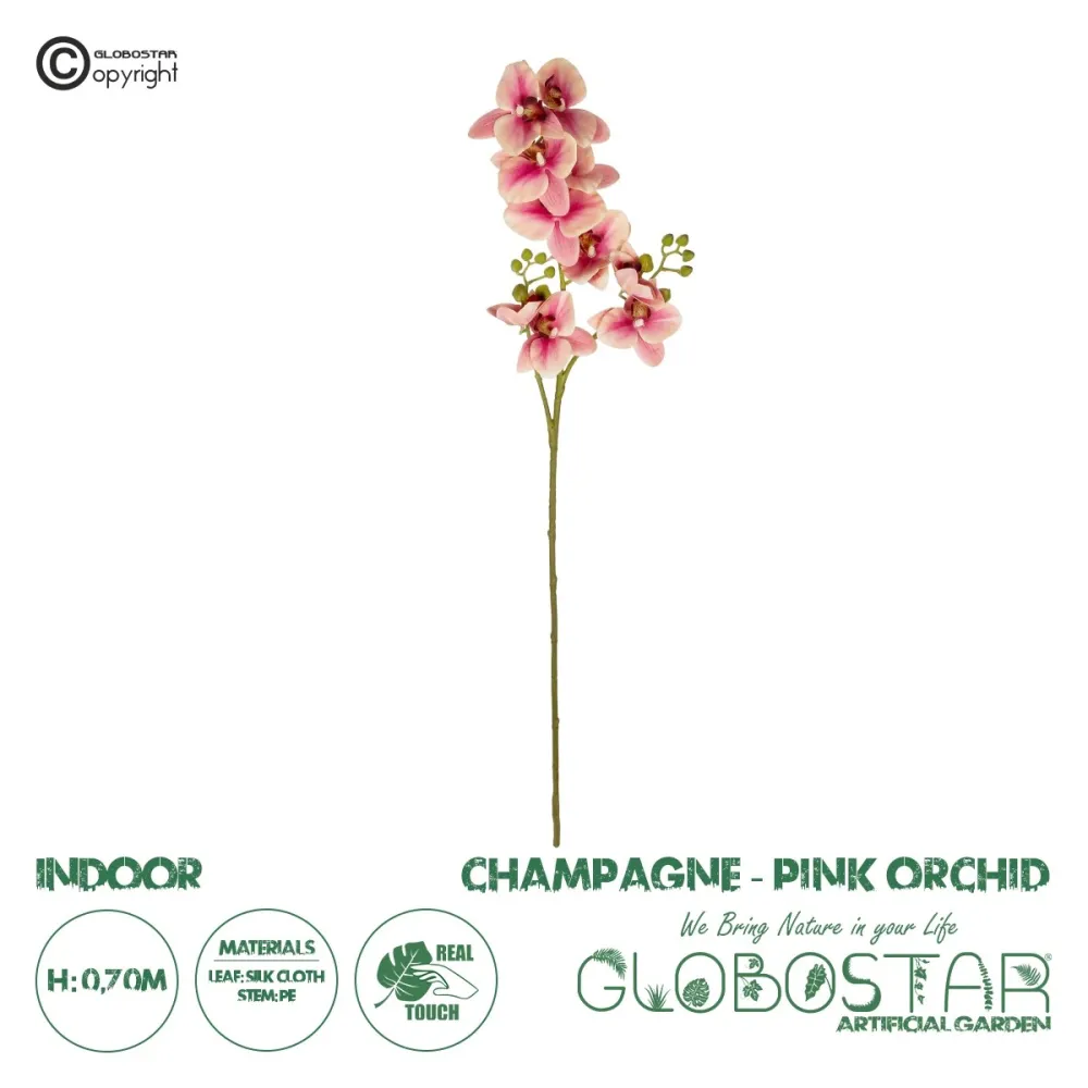 GloboStar® Artificial Garden CHAMPAGNE PINK ORCHID  BRANCH 21411 Τεχνητό Διακοσμητικό Κλαδί Σαμπανί - Ροζ Ορχιδέα Y70cm