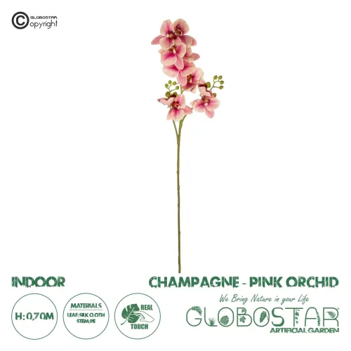 GloboStar® Artificial Garden CHAMPAGNE PINK ORCHID  BRANCH 21411 Τεχνητό Διακοσμητικό Κλαδί Σαμπανί - Ροζ Ορχιδέα Y70cm