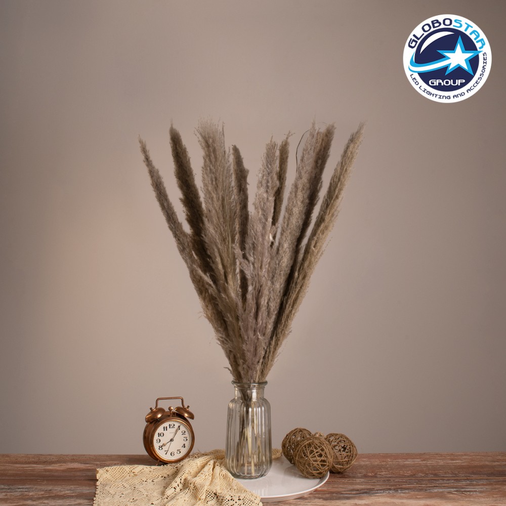 GloboStar® PAMPASGRASS 36511 Αποξηραμένο Φυτό Γρασίδι της Πάμπας - Μπουκέτο Διακοσμητικών Κλαδιών Καφέ - Γκρι Υ80cm - Σετ 10 τμχ
