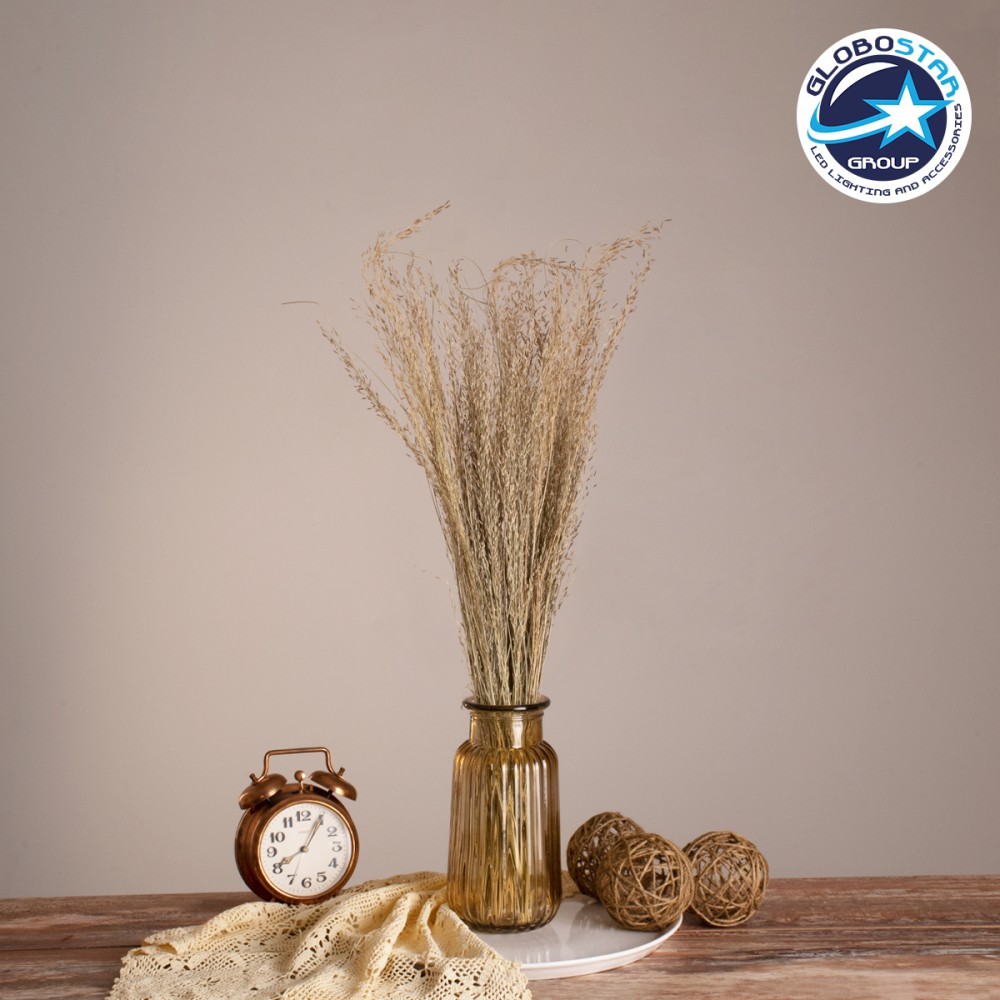 GloboStar® SILVERHAIRGRASS 36545 Αποξηραμένο Φυτό Ασημένια Χλόη - Μπουκέτο Διακοσμητικών Κλαδιών Μπεζ Υ60cm - Σετ 100 τμχ