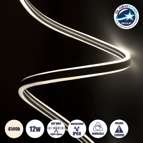 GLOBOSTAR® DOUBLESIDED 70491 Ταινία Neon Flex LED 12W/m 960lm/m 240° DC DC 220-240V Αδιάβροχο IP65 120 x SMD2835 Chip/m Φυσικό Λευκό 4500K Dimmable - Sanan SMD Chip - Μ100 x Π0.8 x Υ1.6cm - 3 Χρόνια Εγγύηση