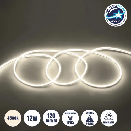 GLOBOSTAR® NEOVALE 70561 Ταινία Neon Flex LED 12W/m 960lm/m 120° DC 24V Αδιάβροχο IP65 120 x SMD2835 Chip/m Φυσικό Λευκό 4500K Dimmable - Sanan SMD Chip - Μ100 x Π0.8 x Υ1.6cm - 3 Χρόνια Εγγύηση