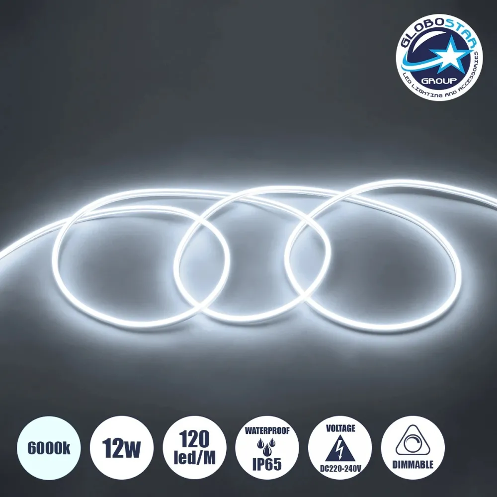 GLOBOSTAR® NEOVALE 70570 Ταινία Neon Flex LED 12W/m 1080lm/m 120° DC 220-240V Αδιάβροχο IP65 120 x SMD2835 Chip/m Ψυχρό Λευκό 6000K Dimmable - Sanan SMD Chip - Μ100 x Π0.8 x Υ1.6cm - 3 Χρόνια Εγγύηση