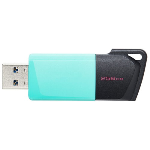 Kingston DataTraveler Exodia M 256GB DTXM/256GB