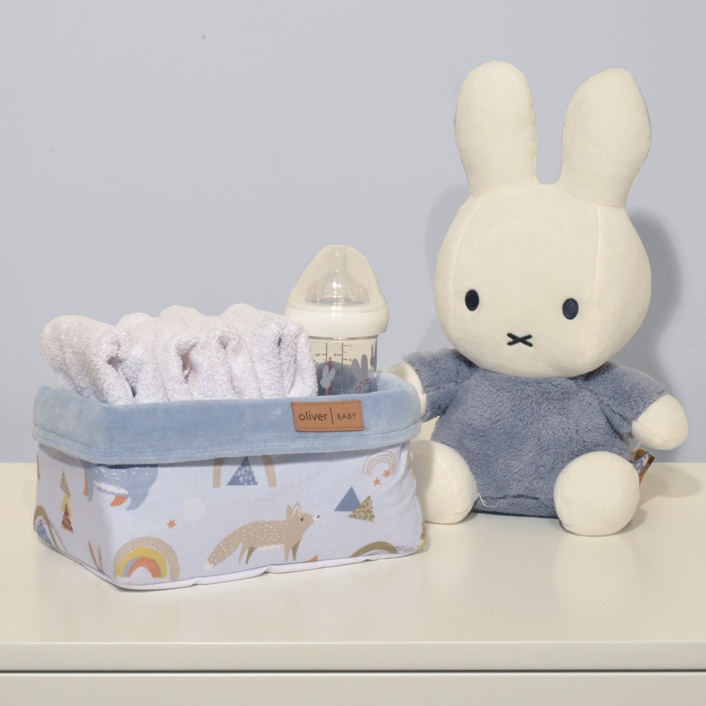 Καλάθι Αποθήκευσης Διπλής Όψης Design 411 Oliver Baby