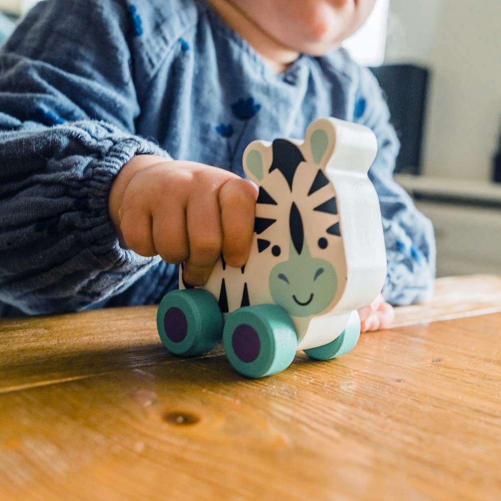 Ζέμπρα Push & Pull Jungle Animals Orange Tree Toys