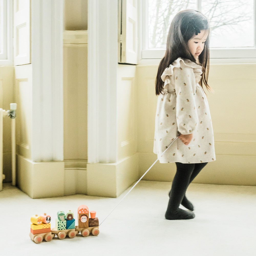 Ξύλινο Τρενάκι Woodland (FSC®) Orange Tree Toys