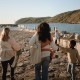 Θήκη για Πιπίλες Σιλικόνης Powder Blue - Mushie