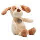 Λούτρινος Σκύλος Custard Organic Cotton Blend 18cm - CUTE
