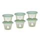 Σετ 6 Φαγητοδοχείων 120ml Miffy Green KOKO