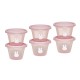 Σετ 6 Φαγητοδοχείων 120ml Miffy Pink KOKO